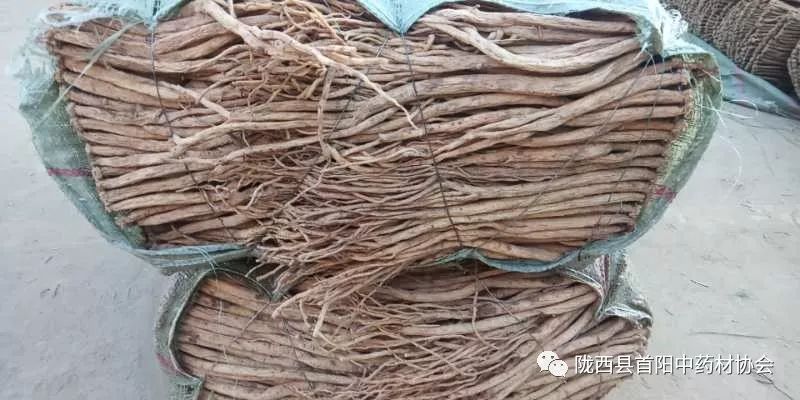 渭源黨參干貨最新價格及獲取指南，了解黨參干貨價格走勢與行情分析