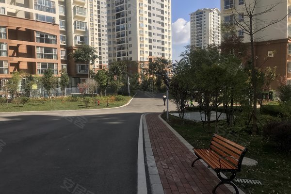 建禮家園最新動態(tài)，小巷中的隱藏瑰寶揭秘