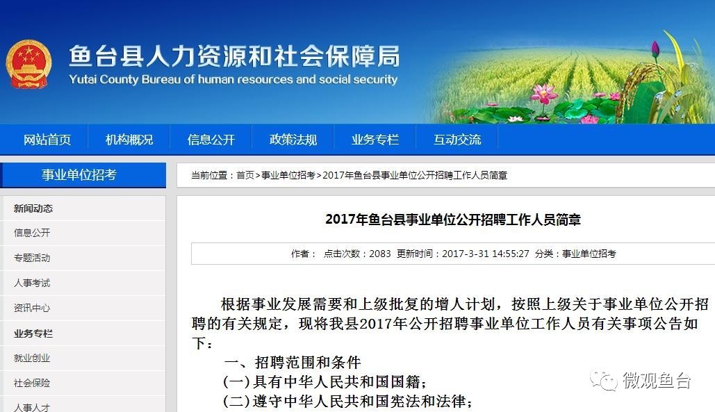 魚臺最新招聘信息大全，求職步驟指南與招聘信息更新速遞