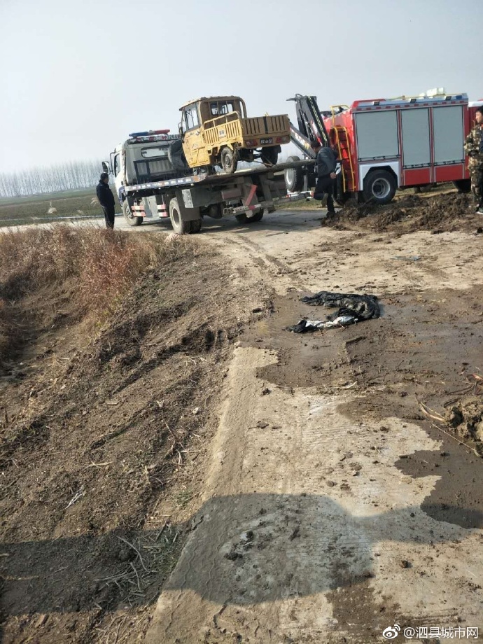 泗縣車禍悲劇，警醒與深思背后的最新新聞報道