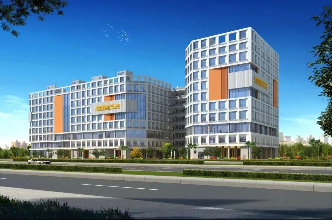 2024又要開(kāi)始做核酸了,數(shù)據(jù)分析計(jì)劃_CSO83.529清新版