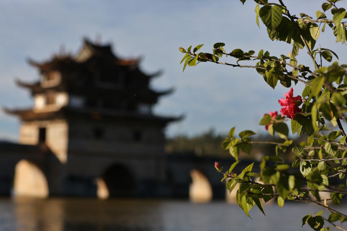 大冰最新力作，智能生活新紀(jì)元——科技與生活的完美融合