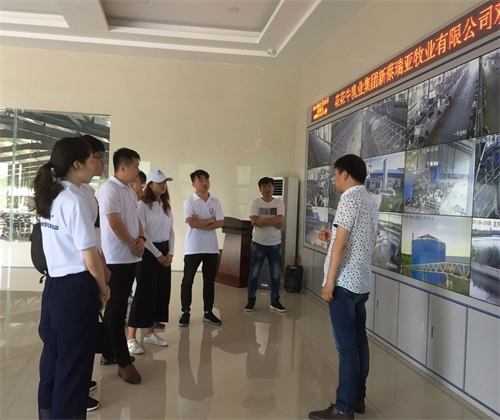 新澳天天管家婆免費(fèi)資料,實(shí)踐調(diào)查說明_LJC9.464動(dòng)態(tài)版