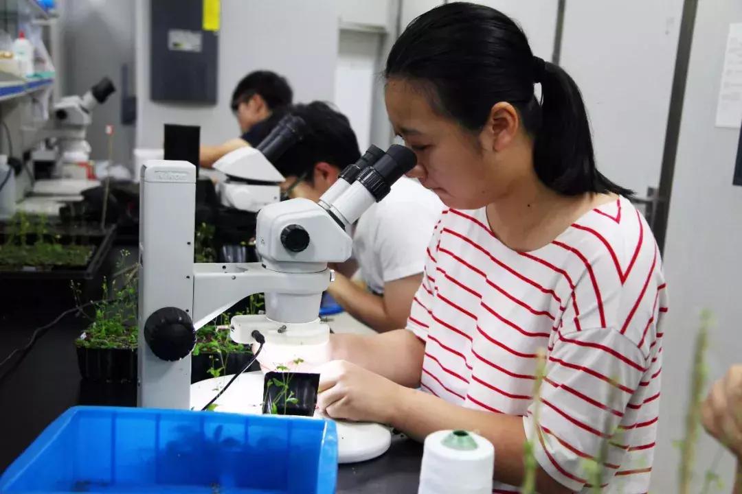 最新學(xué)科評估,最新學(xué)科評估引領(lǐng)科技革新——未來生活觸手可及的高科技產(chǎn)品介紹