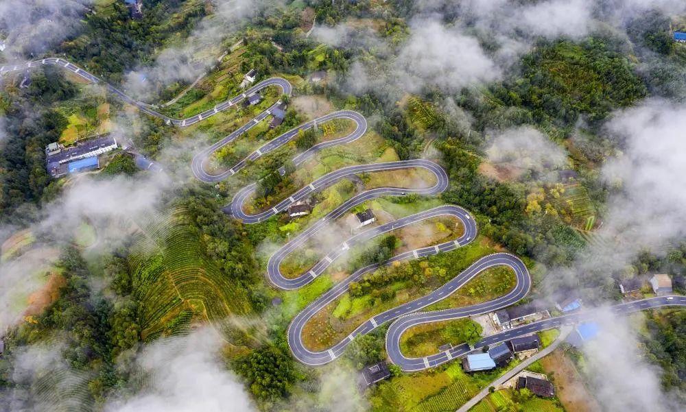 奉節(jié)云霧鄉(xiāng)的最新動(dòng)態(tài)與溫馨日常，云霧中的快樂時(shí)光