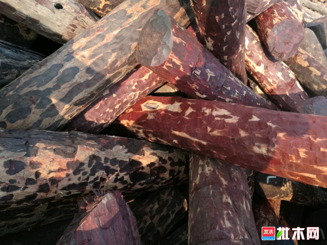 工程廠房燈具 第257頁