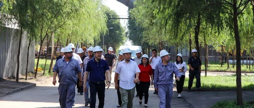 最新鍋爐工招聘信息揭秘,鍋爐工的溫馨日常故事探索