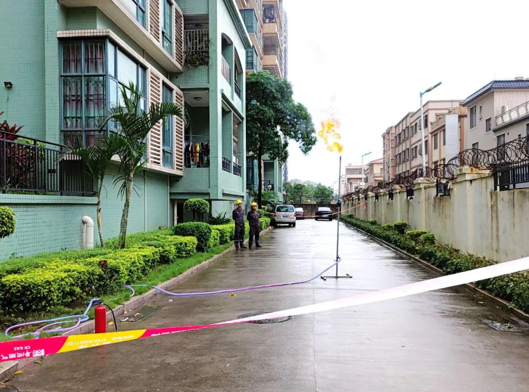 中山東鳳佛奧最新動態(tài)，自然美景的探索之旅，尋找內(nèi)心平和與寧靜