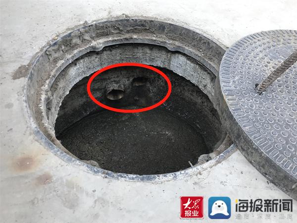 福建臺(tái)幫幫團(tuán)最新一期揭秘，小巷深處的隱藏美食瑰寶