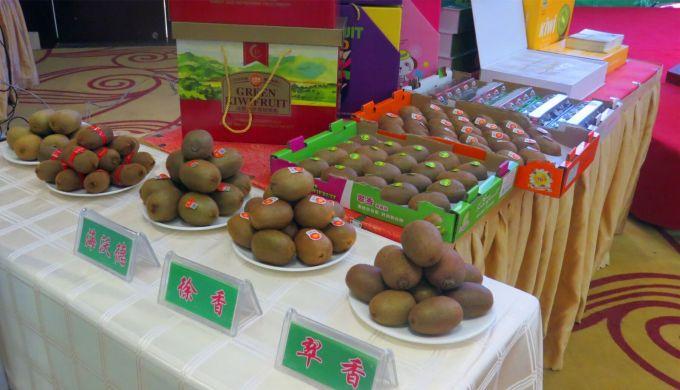 嘉興對(duì)接上海最新進(jìn)展，城市崛起中的自信與成就感展現(xiàn)新面貌