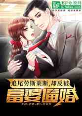 運動場館燈具 第236頁