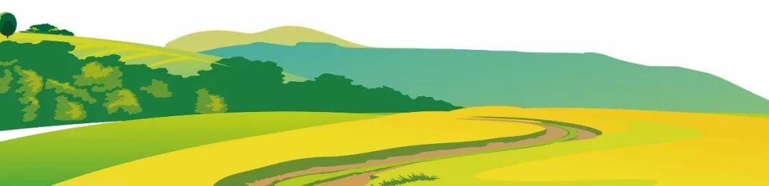 藍(lán)田縣未來藍(lán)圖，最新發(fā)展規(guī)劃揭秘