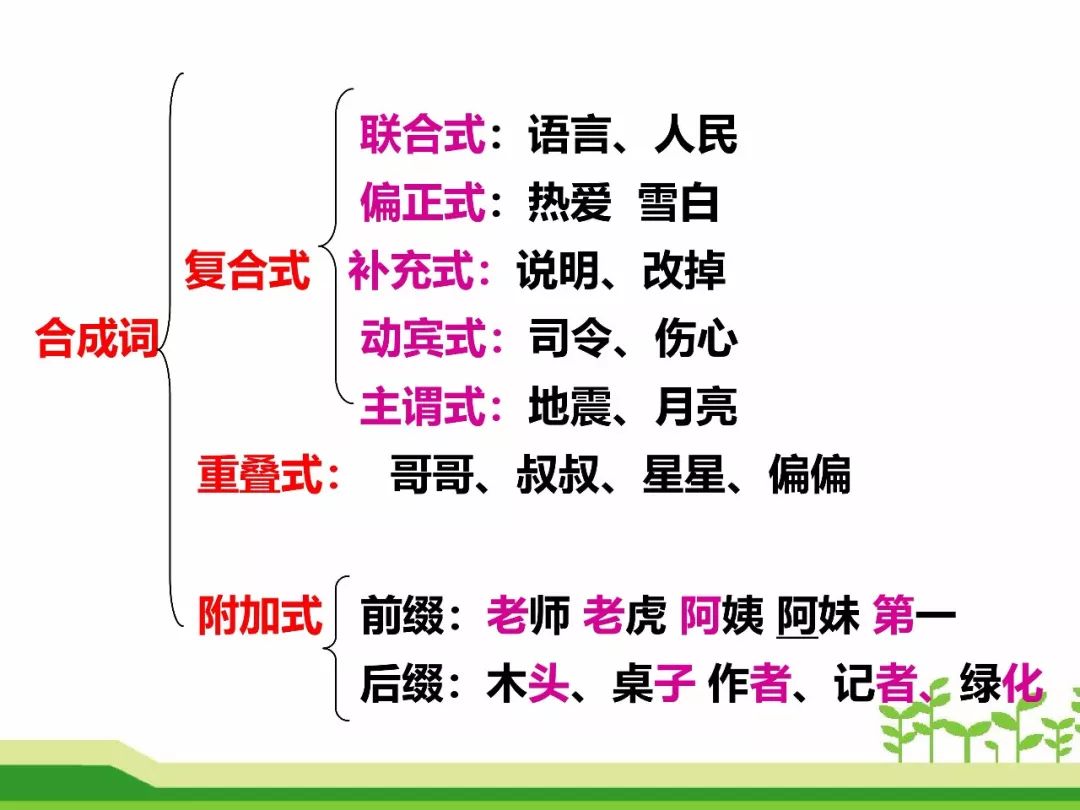 最新合成詞，語言發(fā)展的微觀視角探索