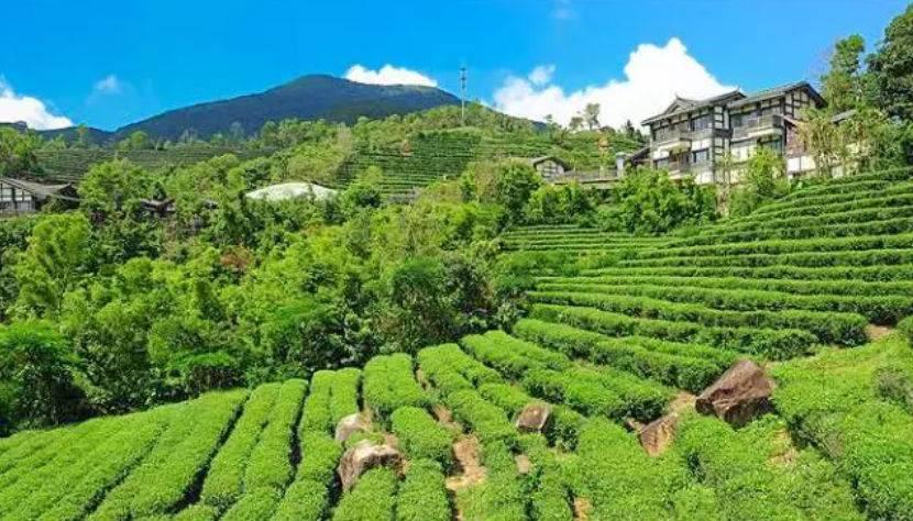 深圳驚喜活動溫情之旅，日常中的特別瞬間