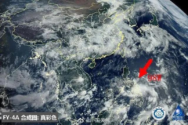 臺(tái)風(fēng)鸚鵡的最新動(dòng)態(tài)，逆風(fēng)翱翔的力量與學(xué)習(xí)魅力