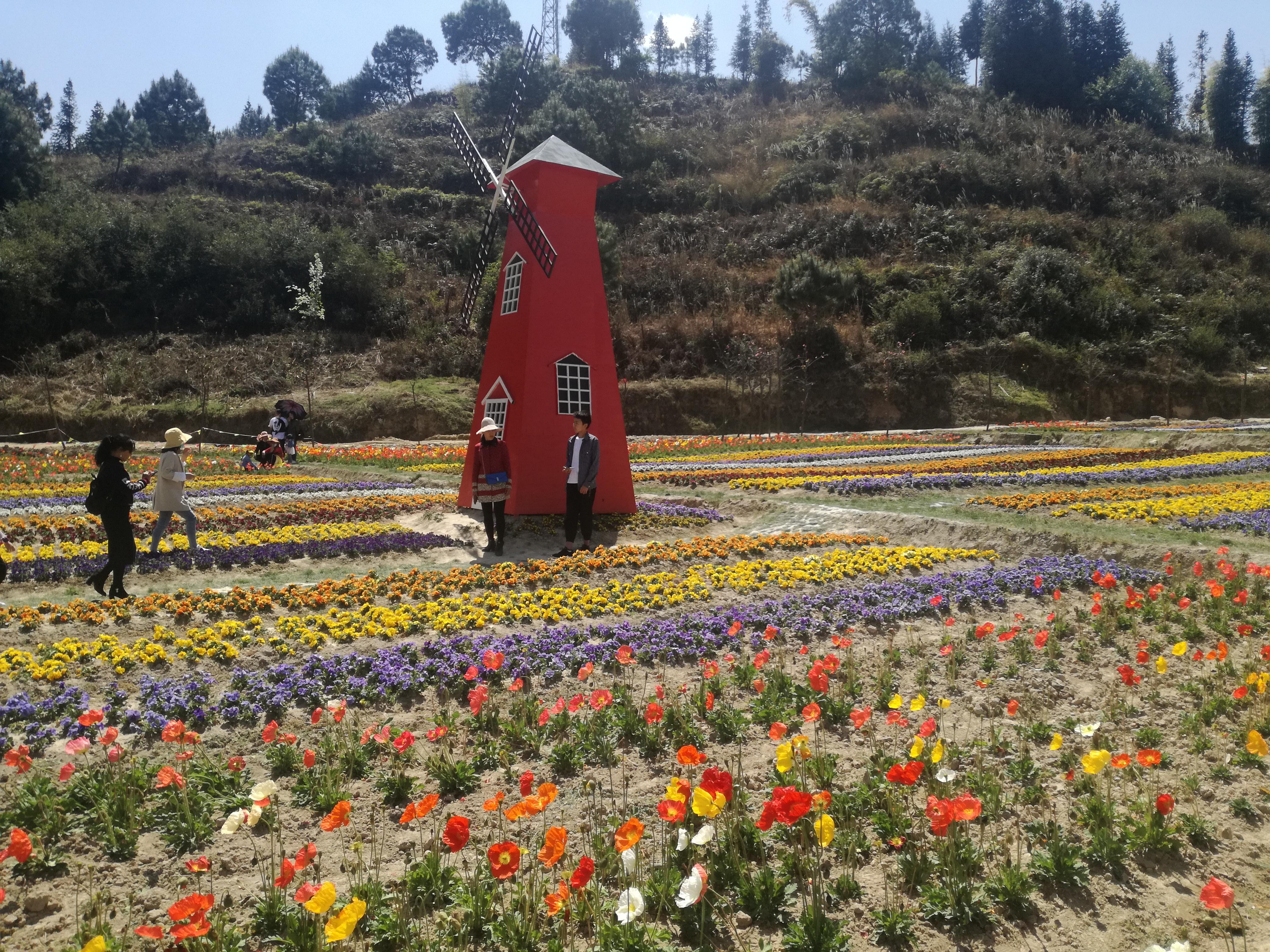 臨滄市最新探索，自然美景之旅，尋找內心平和的旅程
