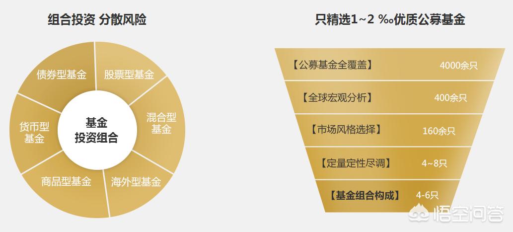 深度解析，今年養(yǎng)雞產(chǎn)業(yè)趨勢(shì)與前景展望