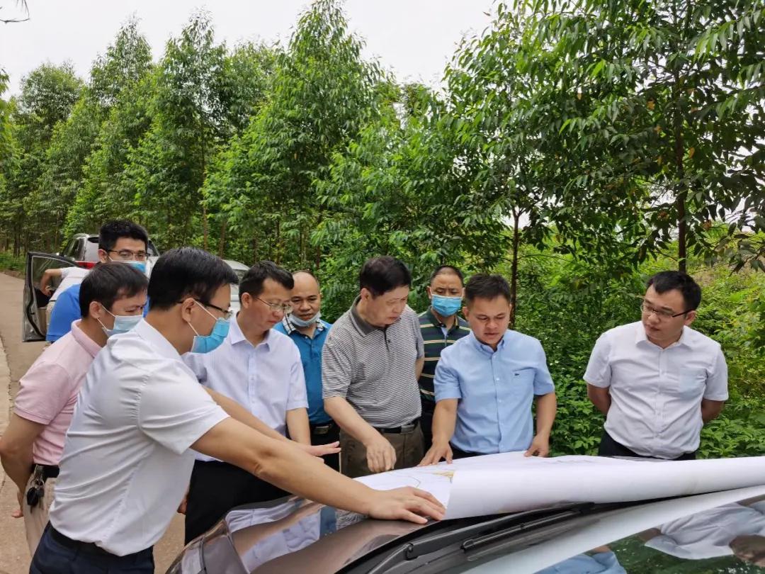 南寧龍象谷最新資訊，游玩指南與技能學(xué)習(xí)步驟全解析