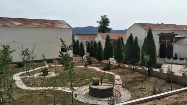 上莊最新動(dòng)態(tài)，綠意盎然的新居生活????