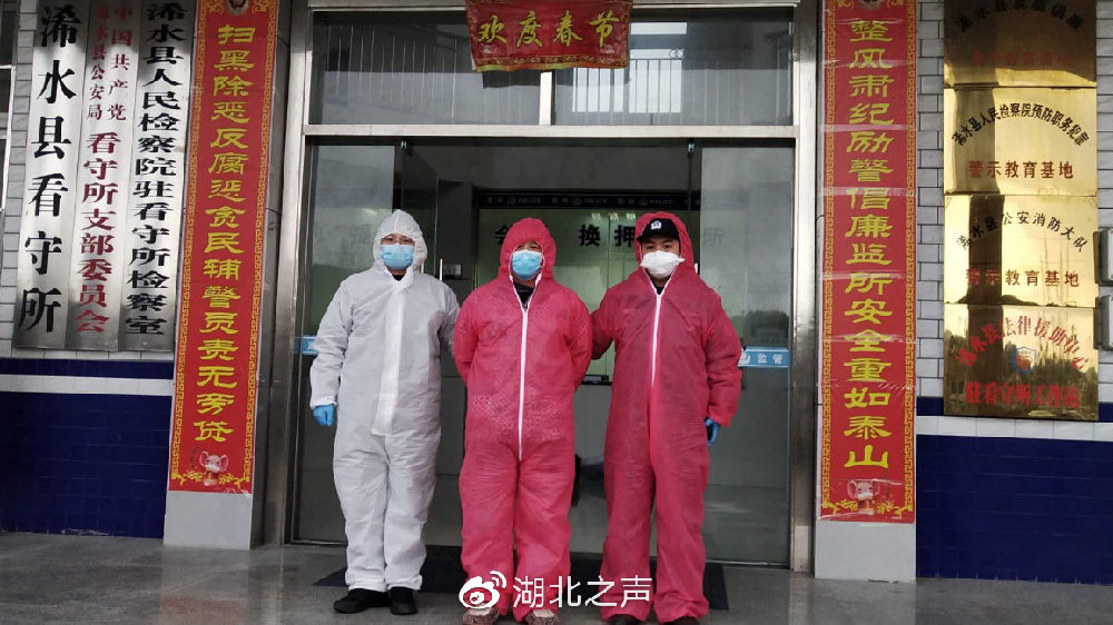 浠水最新疫情,浠水最新疫情下的自然探索之旅，尋找內(nèi)心的寧靜與平和