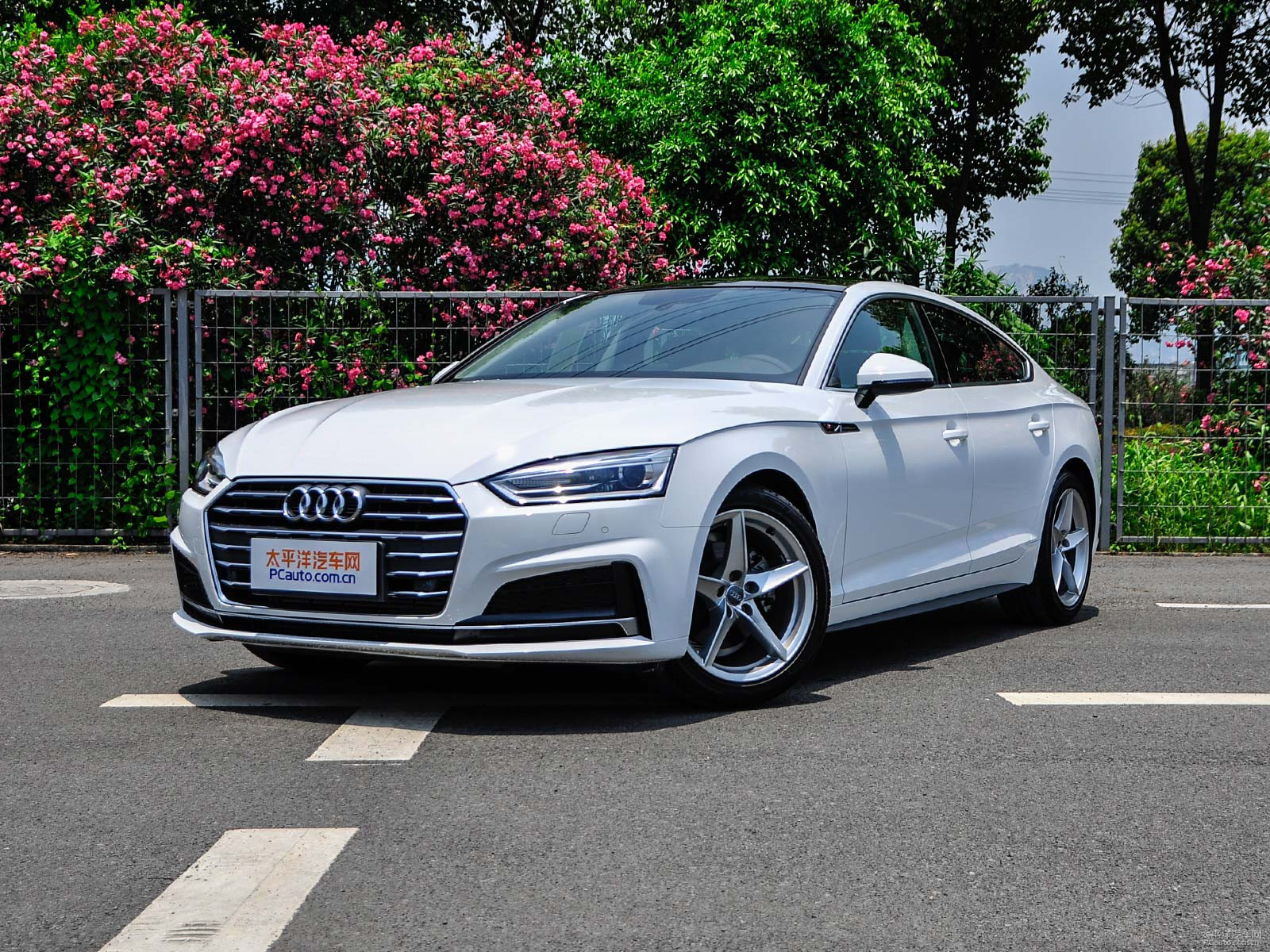 新款奧迪A5價(jià)格及圖片，自然美景探索之旅的絕佳選擇