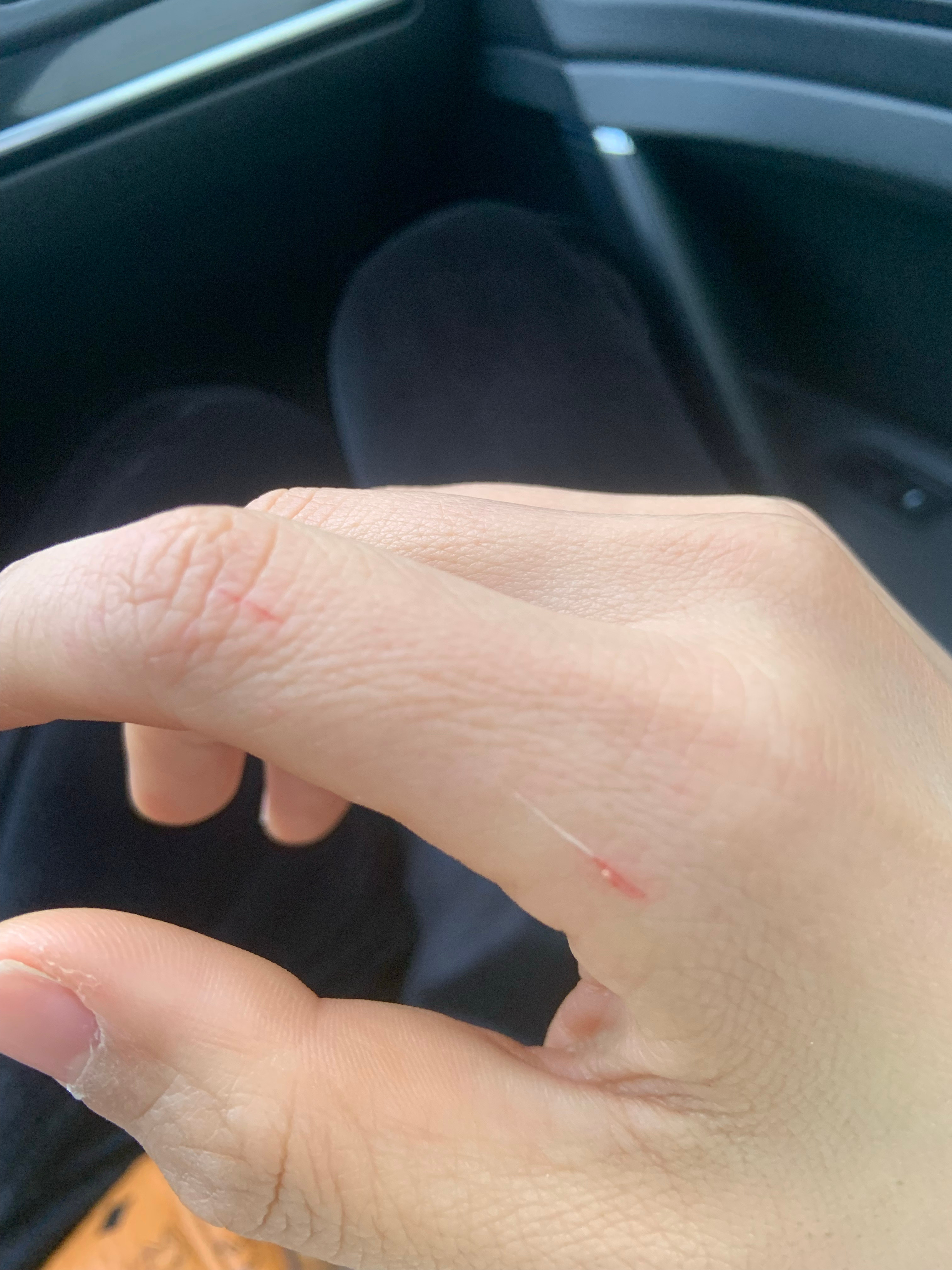 最新口子，開啟學(xué)習(xí)之旅，擁抱變化的力量