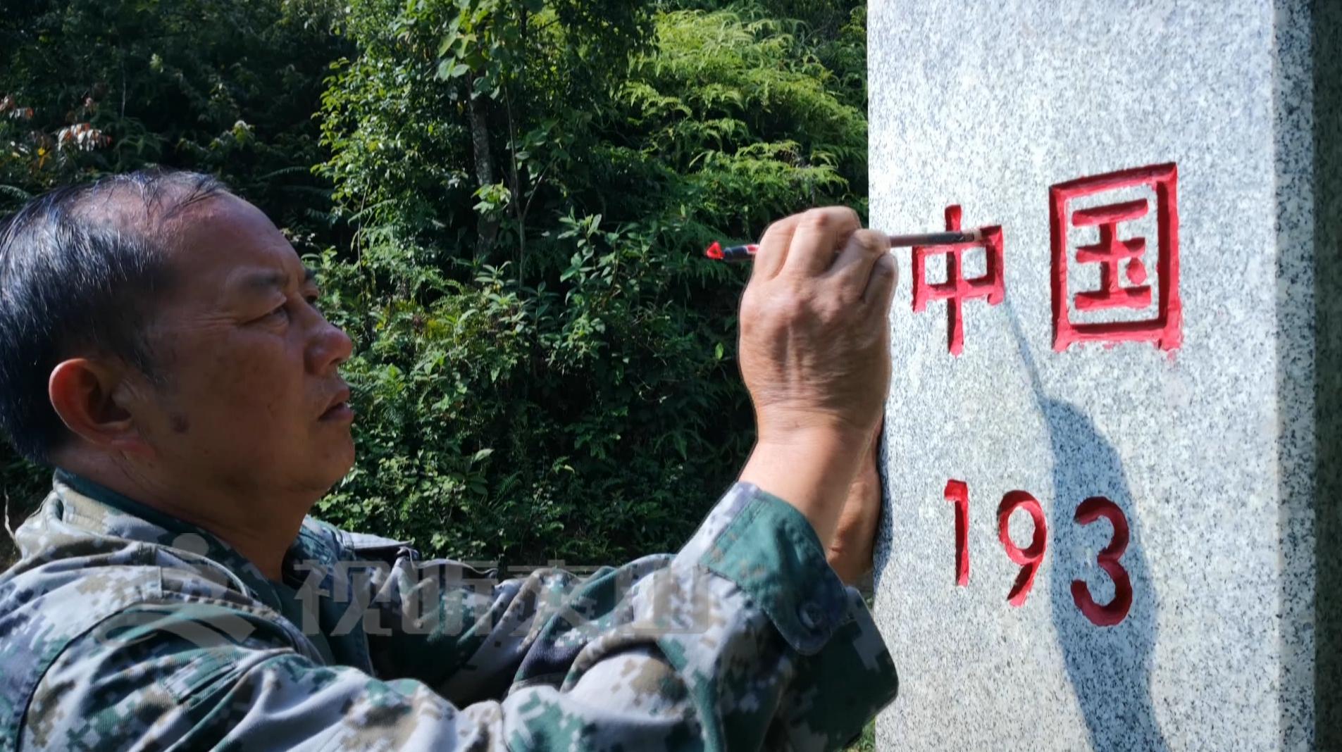 文山黃牛打架比賽，傳統(tǒng)與爭議的碰撞