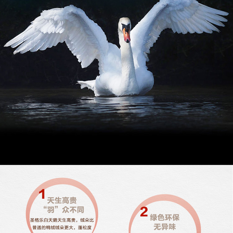 探索小巷羽絨寶藏，90白鵝絨價格與溫暖故事