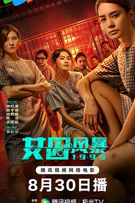 淘君爹最新影片，小巷深處的電影寶藏探索