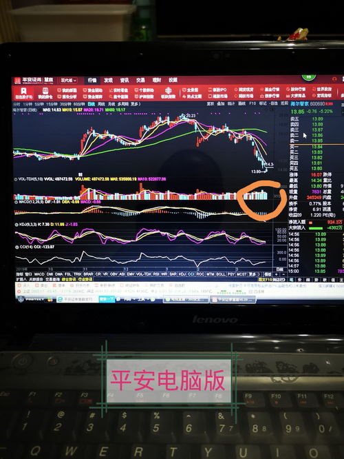 股票電腦版，開啟溫馨的股市之旅