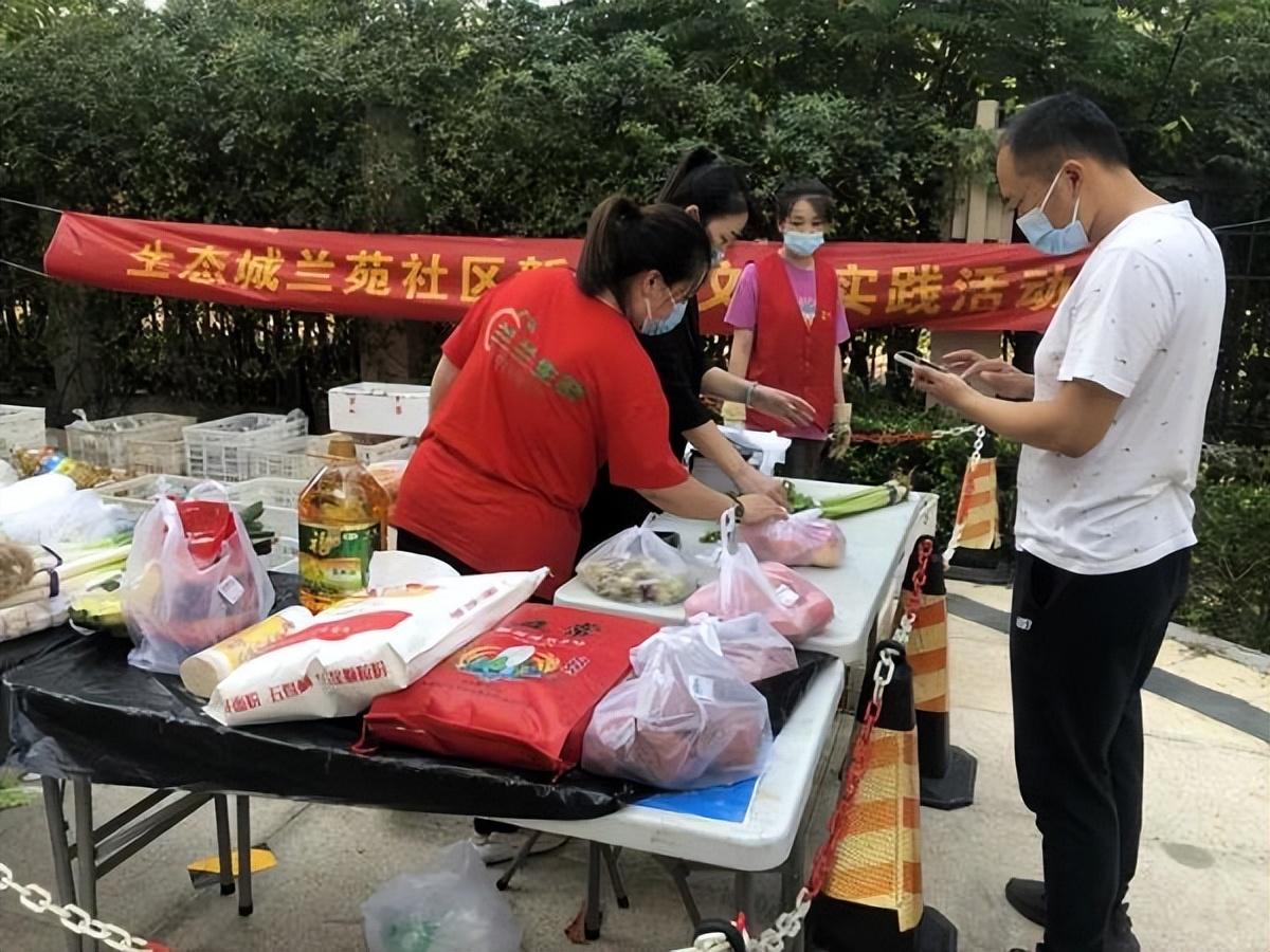 保利華潤紫云價(jià)格深度解析，探尋背后的故事與地位影響
