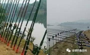 海竿釣魚比賽，技巧、魅力與激情的海洋探秘之旅
