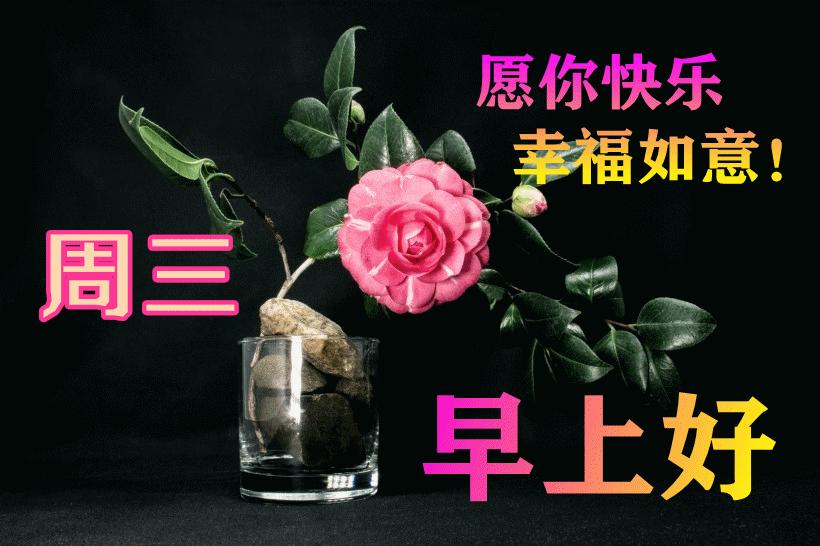最新早晨問候動態(tài)表情包，溫馨問候，從表情開始！