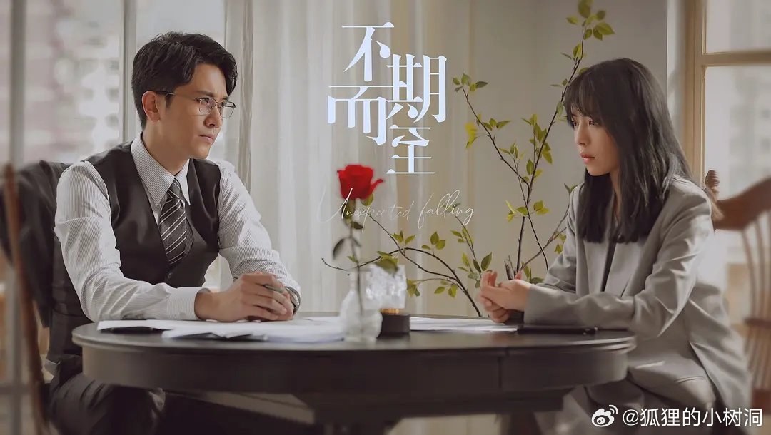 不期而至電視劇，從入門到進(jìn)階的觀看指南