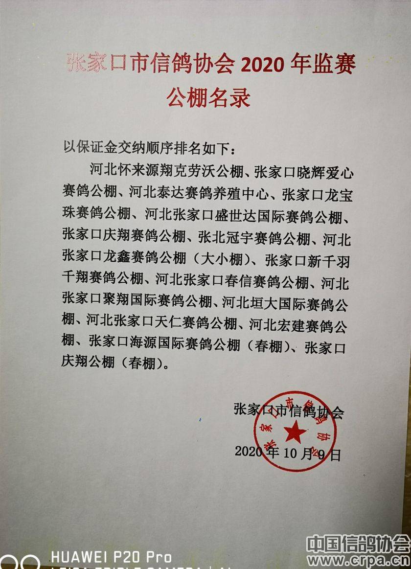 東光信鴿協(xié)會最新通告，小巷深處的獨特風味揭秘與信鴿活動更新通知