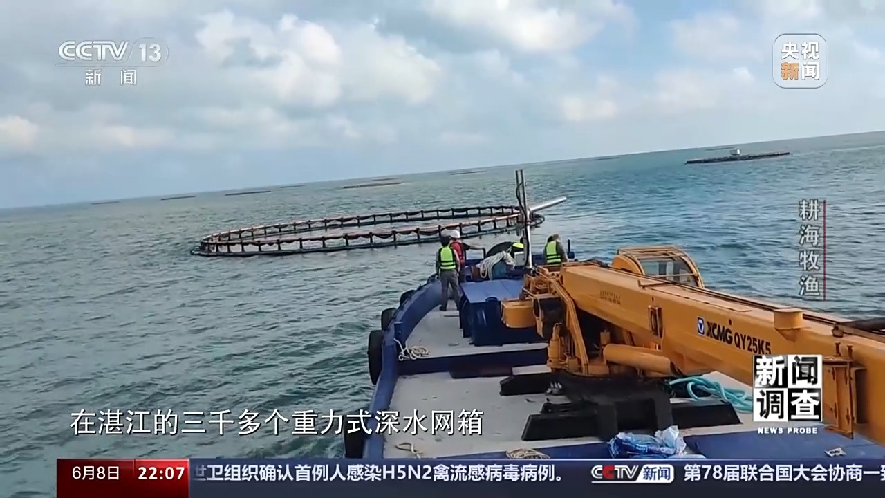 最新海水養(yǎng)殖,最新海水養(yǎng)殖，一種前沿農(nóng)業(yè)技術(shù)的觀點(diǎn)分析