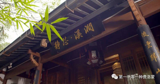 高密西湖茶樓最新資訊，一壺茶，品味溫情時光
