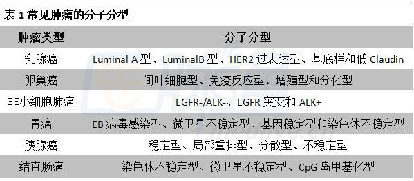 最新乳腺分類科技產(chǎn)品介紹，引領(lǐng)乳腺健康新篇章