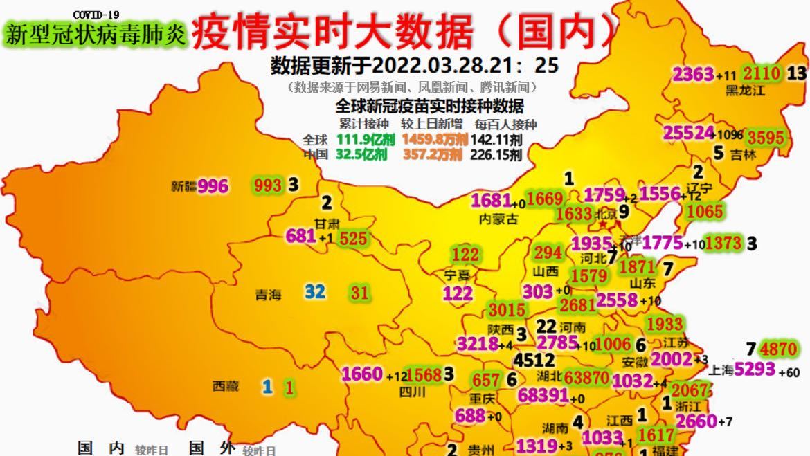 最新疫情動態(tài)詳解，初學者與進階用戶的步驟指南