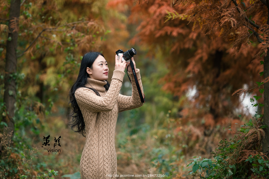 伊人在線電影，探索現(xiàn)代網(wǎng)絡(luò)影視的新境界