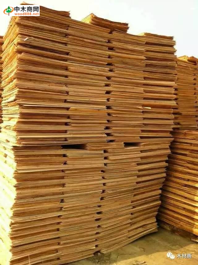 科技革新引領板皮廠行情，開啟板材加工新時代
