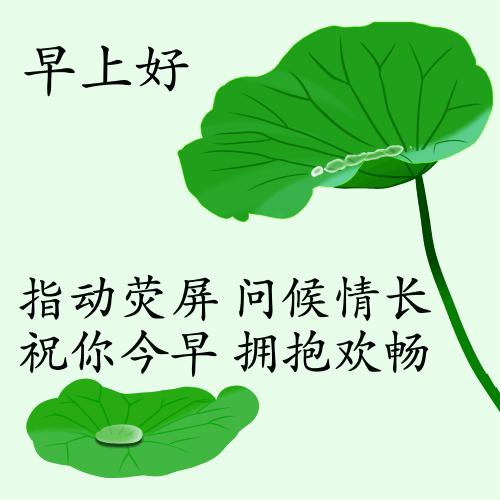 最新疫情動態(tài)下的自然探索之旅，追尋內(nèi)心的平和與寧靜