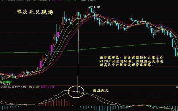 科技前沿與股票新紀元，最新高科技產品體驗介紹與股票解析