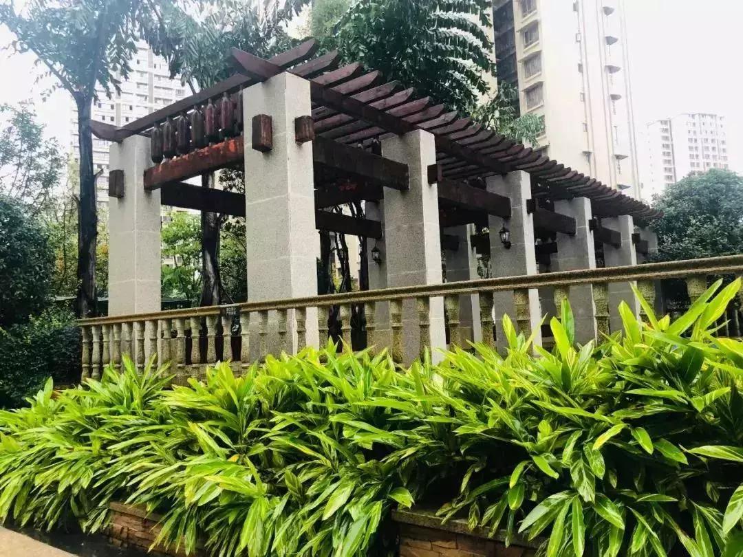 陽(yáng)光江山金岸最新動(dòng)態(tài)揭秘，全面指南與步驟詳解