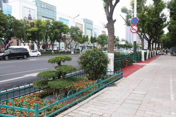 濰坊市奎文區(qū)改造工程，自然美景的探索之旅