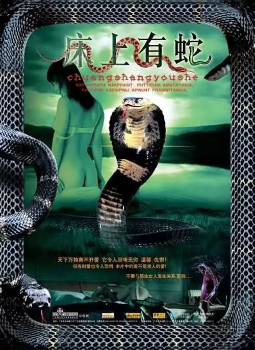 最新蛇片，蛻變的旅程，召喚自信與成就感的冒險(xiǎn)之旅