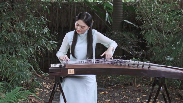 抖音最新琵琶演奏，古典與現(xiàn)代的完美融合之美