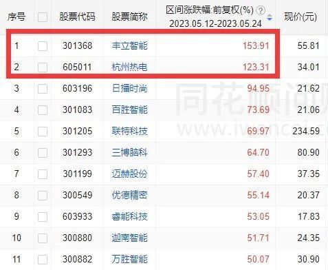揭秘股票開(kāi)頭代碼背后的秘密，小巷神秘股票小店的傳奇故事
