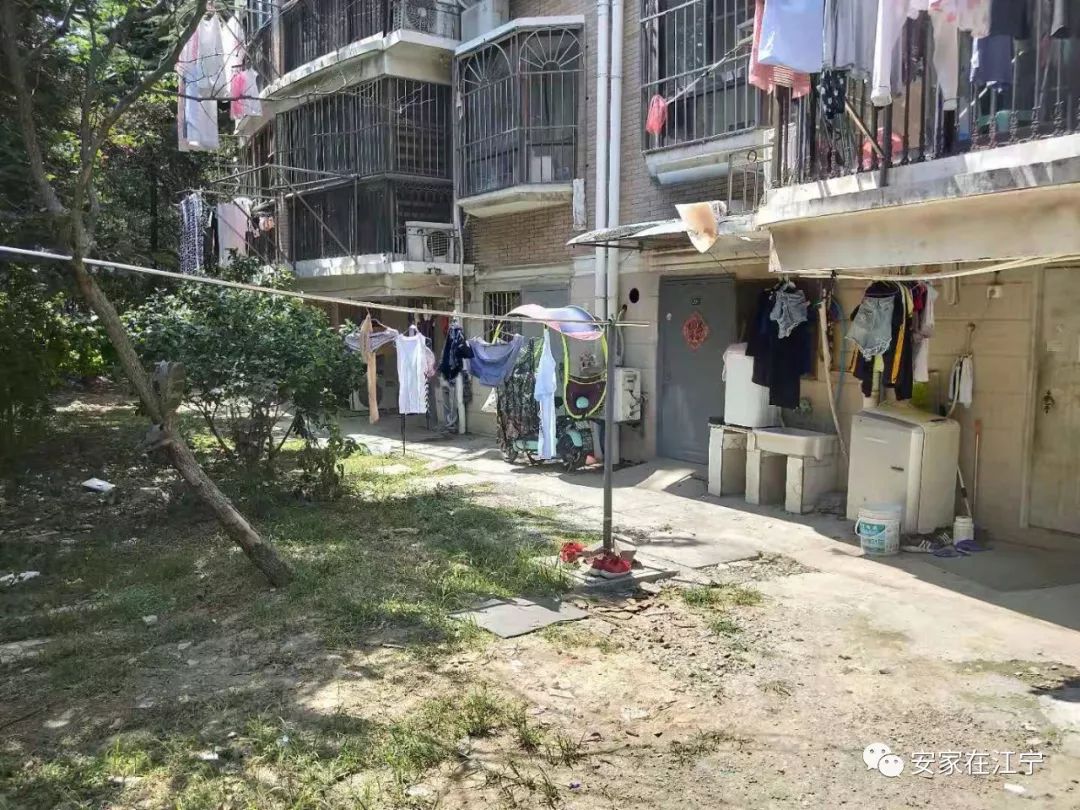 最新大雜亂時(shí)代，混沌與秩序的重建之路