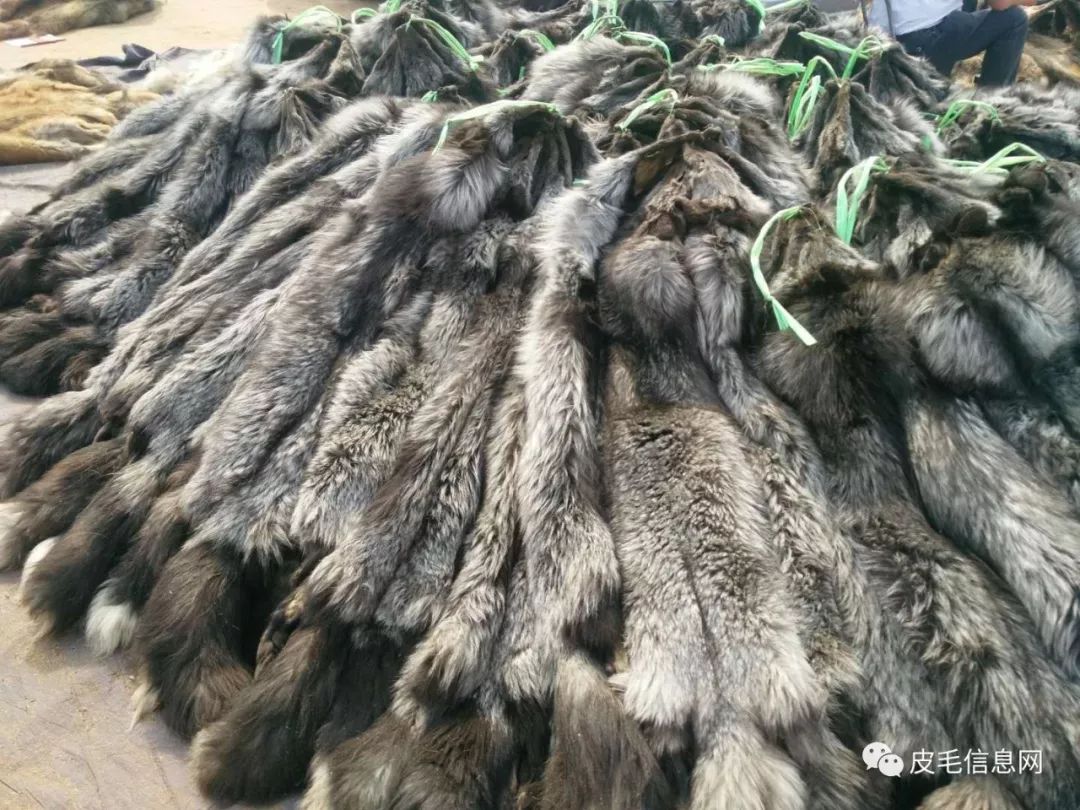 貉皮尚村最新價格，小巷中的時尚皮草寶藏探索